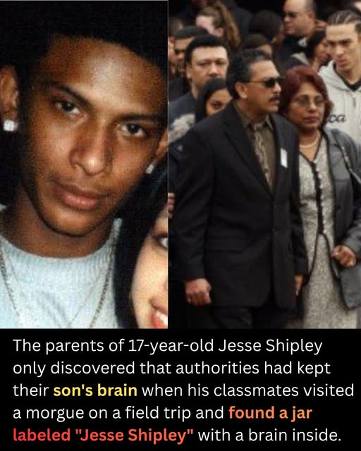 Jesse Shipley Car Accident